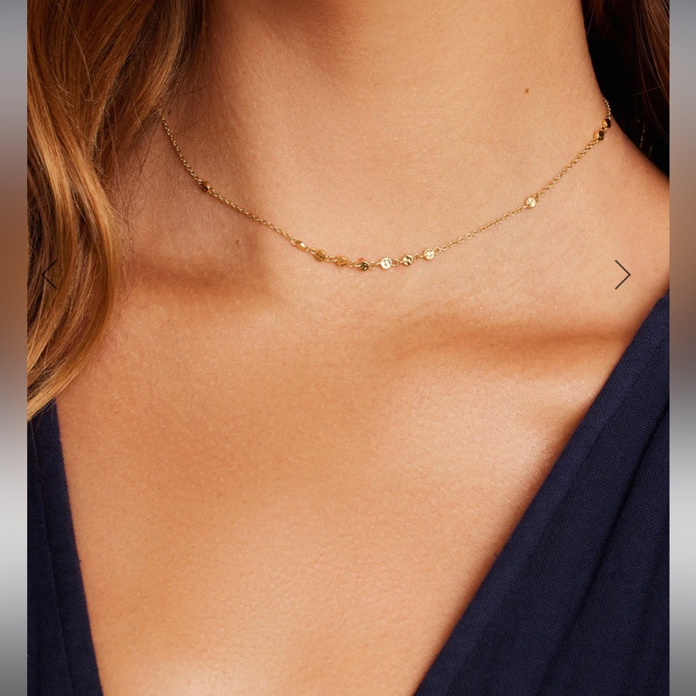 Gorjana Necklace